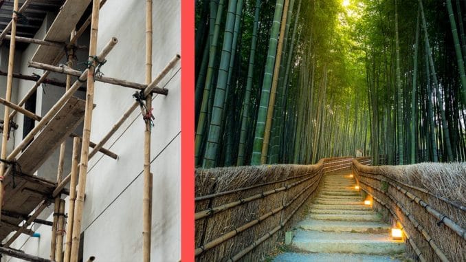 bambus la ce e bun bambusul in constructii