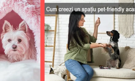 Design, confort și grijă pentru animale: cum creezi un spațiu pet-friendly acasă